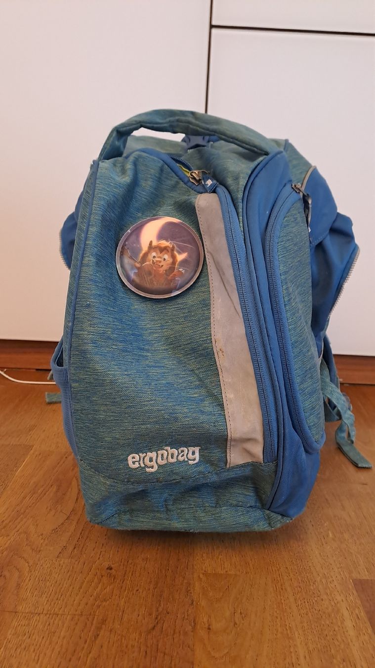 Ergobag Borse & Zaini: Ergobag Schulerthek – Usato da Wängi venduto da schicksal123 8