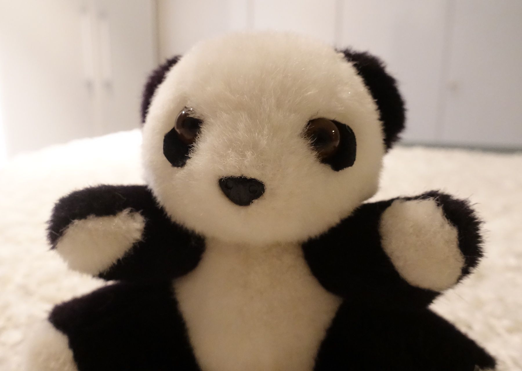 Giocattoli: Peluche petit panda – Nuovo (secondo la descrizione) da Genève venduto da flocon06 1