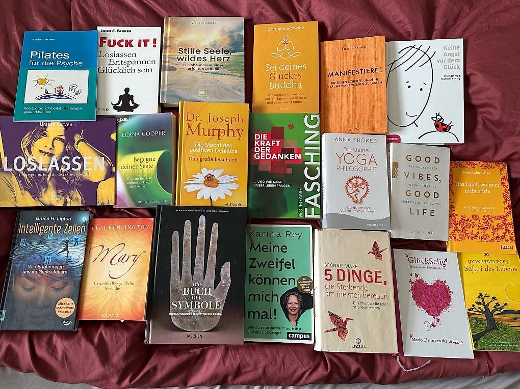 Libri: Grosses Bücherpaket  – Usato da St. Gallen venduto da mar_c29s