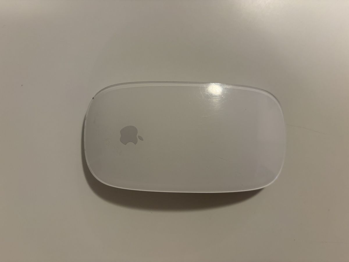 Apple Mouse: Apple Magic Mouse weiss – Usato da Susch venduto da Ascaso