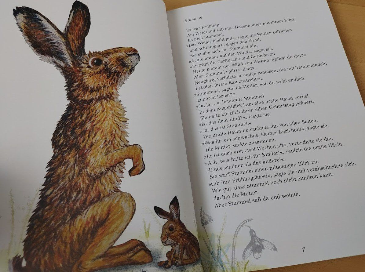 Bücher: Kinderbuch/Bilderbuch: Stummel - Ein Hasenkind wird gross – Gebraucht aus Zürich von Mar_Mic 1