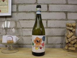 2024 Kripia Trebbiano d'Abruzzo