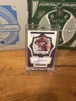 Carte Amar'e Stoudemire Panini National Treasure auto 15/25