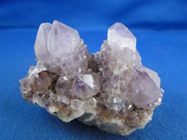 Quartz var. Amethyst & Kaktus