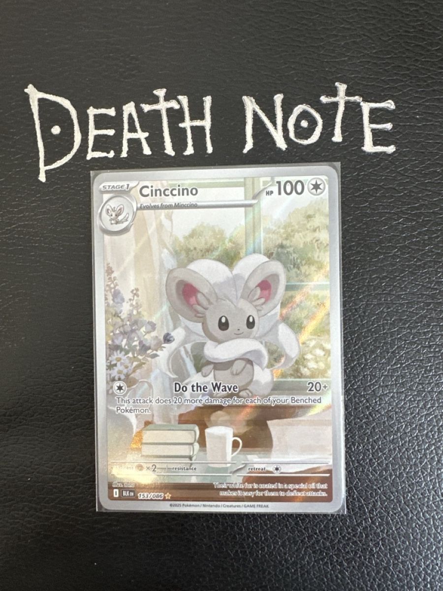 Pokémon Carte collezionabili: Cinccino Black Bolt NM Top Zustand – Nuovo (secondo la descrizione) da Wabern venduto da Mauzao_TCG
