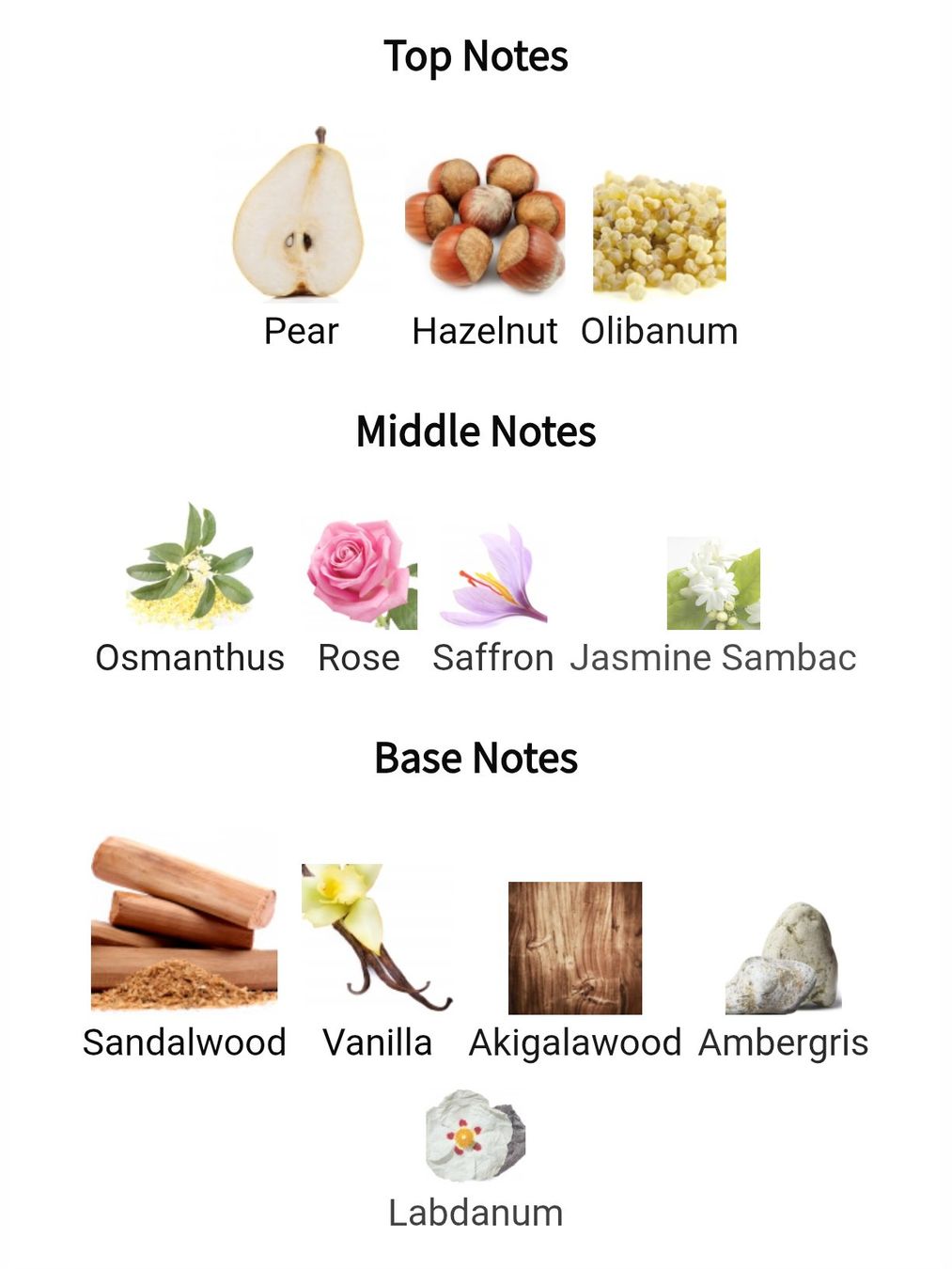 Amouage Parfums & Eau de Toilette: 2ml Guidance Amouage decant Sample niche first formulation – Neuf (Voir description) à Steinhausen par nwe_t8nj 1