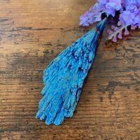 ✲ Kyanit Titan Aura Rohstein ✲ 52g / 99mm Disthen Kyanite