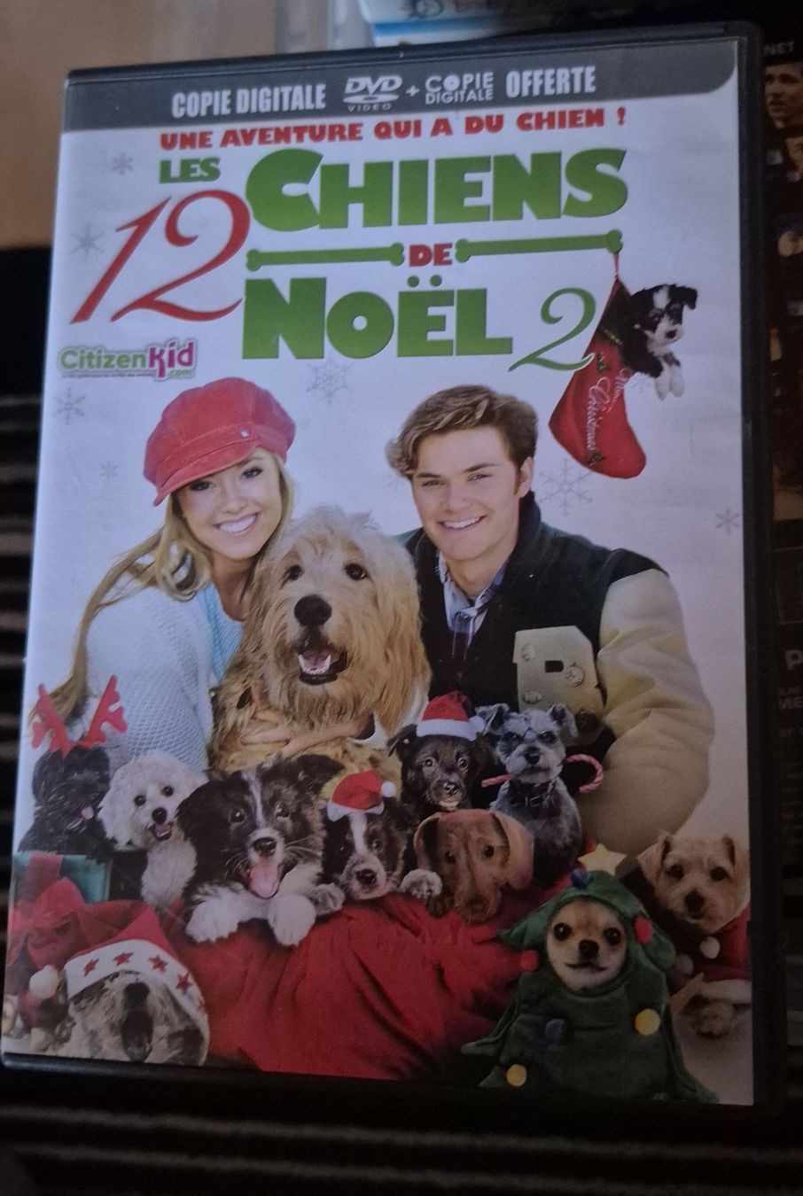 Tutti i DVDs: DVD Les Chiens de Noël 2 bon état – Usato da Valeyres-Rances venduto da dd156