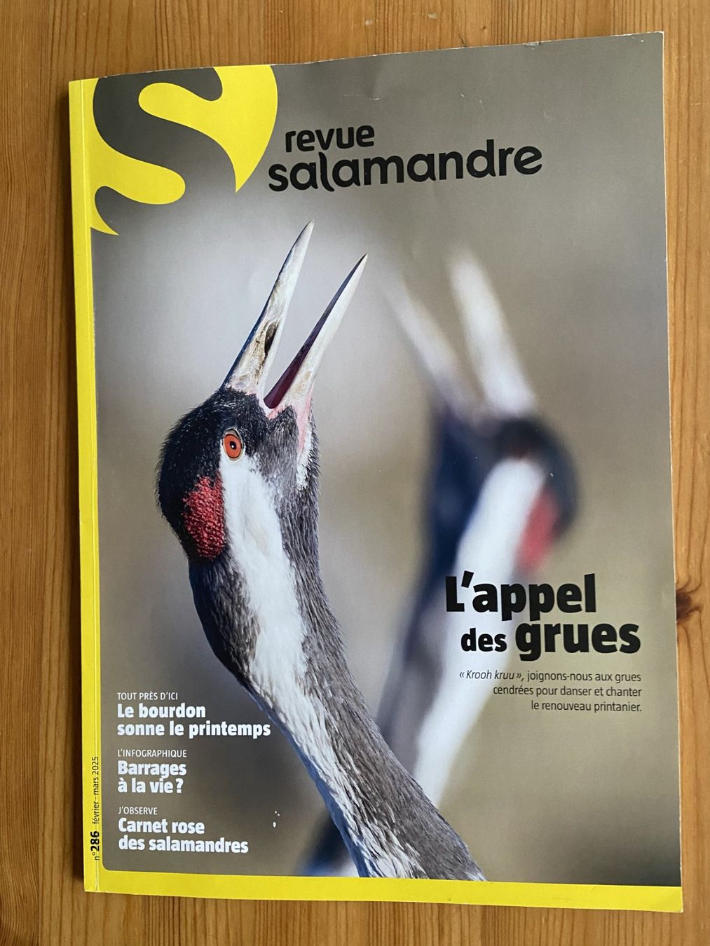 Riviste & Magazine: Revue Salamandre : Collection complète printemps en nature! – Nuovo (secondo la descrizione) da Neuchâtel venduto da marevecor 1