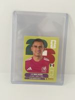 Panini FIFA World Cup 2026 Luis Malagon Sticker United Editi