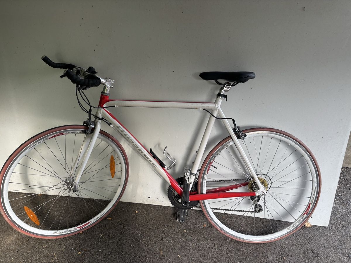 Vélos: Velo – D'occasion à Hägendorf par mat_h2lp