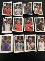 Alle 12 Coca-Cola Panini Fussball WM-Sticker