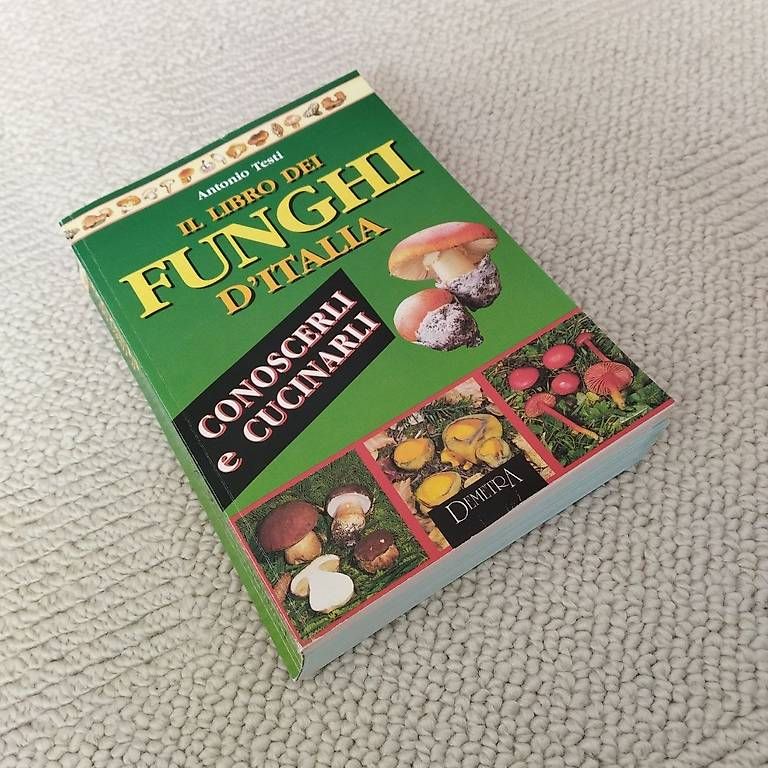 Libri: Il Libro Dei Funghi D`italia - Antonio Testi – Usato da Kollbrunn venduto da Rompecabeza