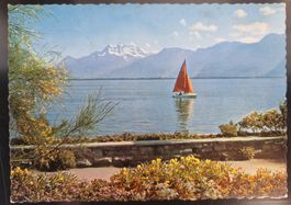 Lac Léman et les Dents du Midi 1967