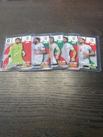 Panini Adrenalyn XL Iran 14 Stück