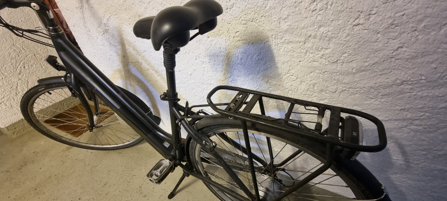 Leopard Velos: E-Bike – Gebraucht aus Frauenfeld von nazanin 3