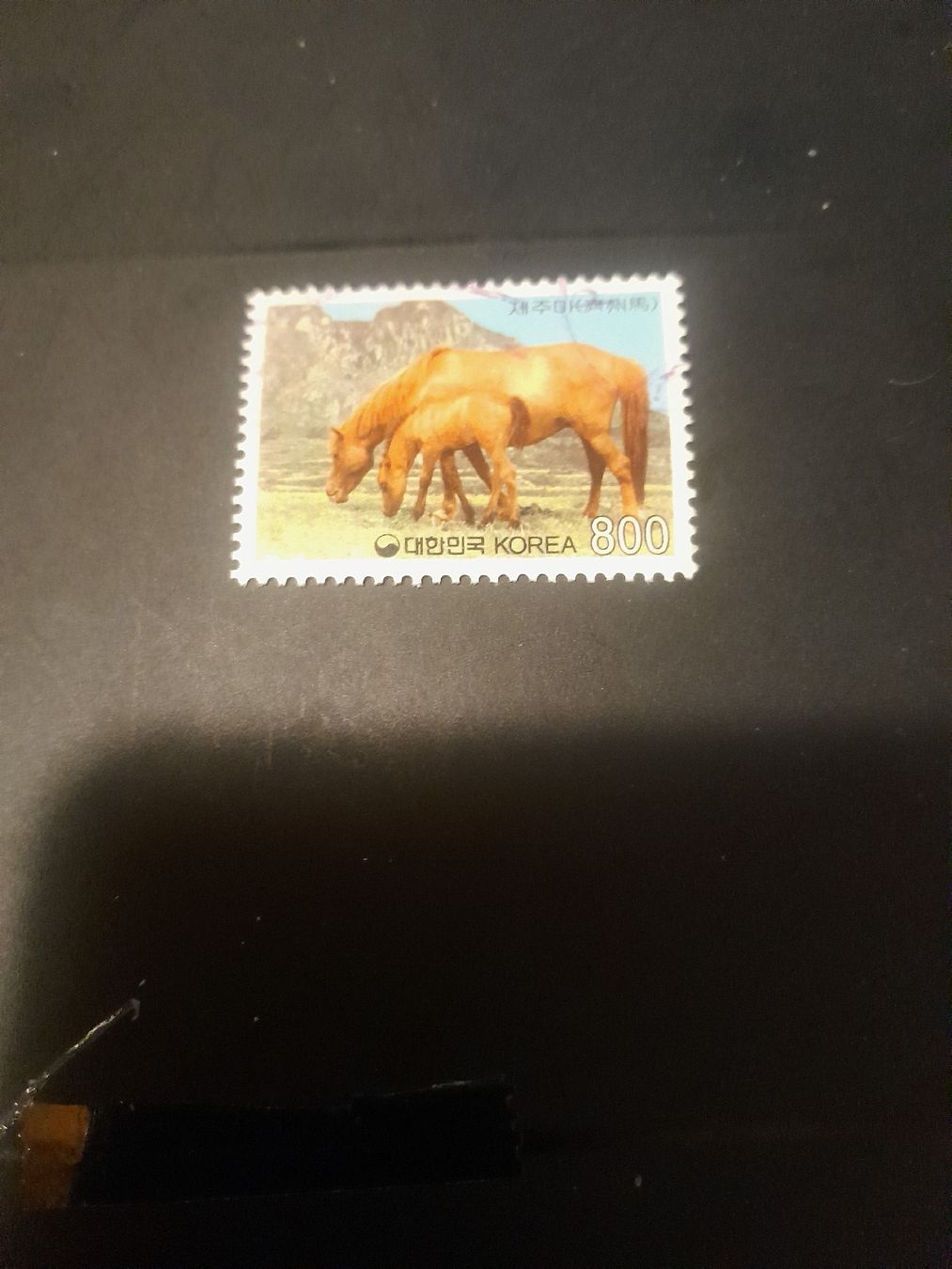 Tutti i francobolli: Corée du Sud - Timbre rare avec chevaux, 800 Won – Usato da Marly venduto da globetrotter1723