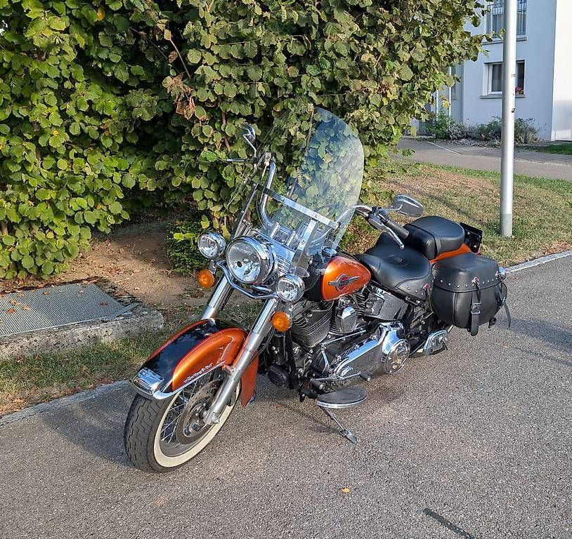 Harley-Davidson Cruisers: Wunderschöne Harley – D'occasion à Dübendorf par Quriis 4