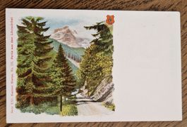 Werbung Blutreinigungs- u. Abführmittel, Löntschtal GL