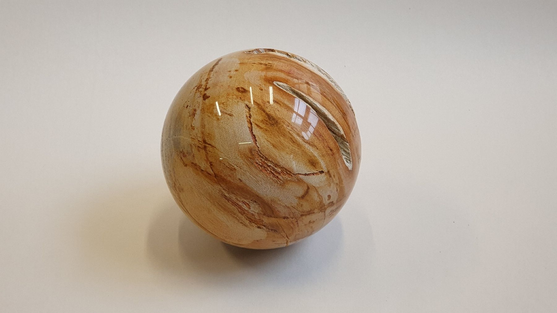 Mineralien & Heilsteine: Versteinertes Holz, polierte Kugel 140 mm – Neu (gemäss Beschreibung) aus Dürnten von stefanverkauft 4