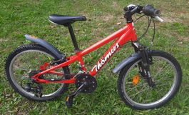 Verkaufe Thömus Kids Bike 20 Zoll