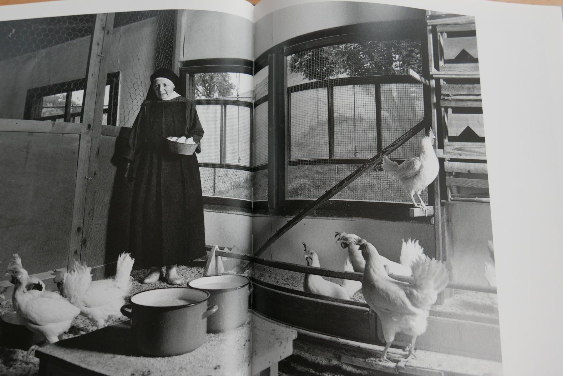 Bücher: Buch Das Klosterleben – Gebraucht aus Rotkreuz von nigal 5
