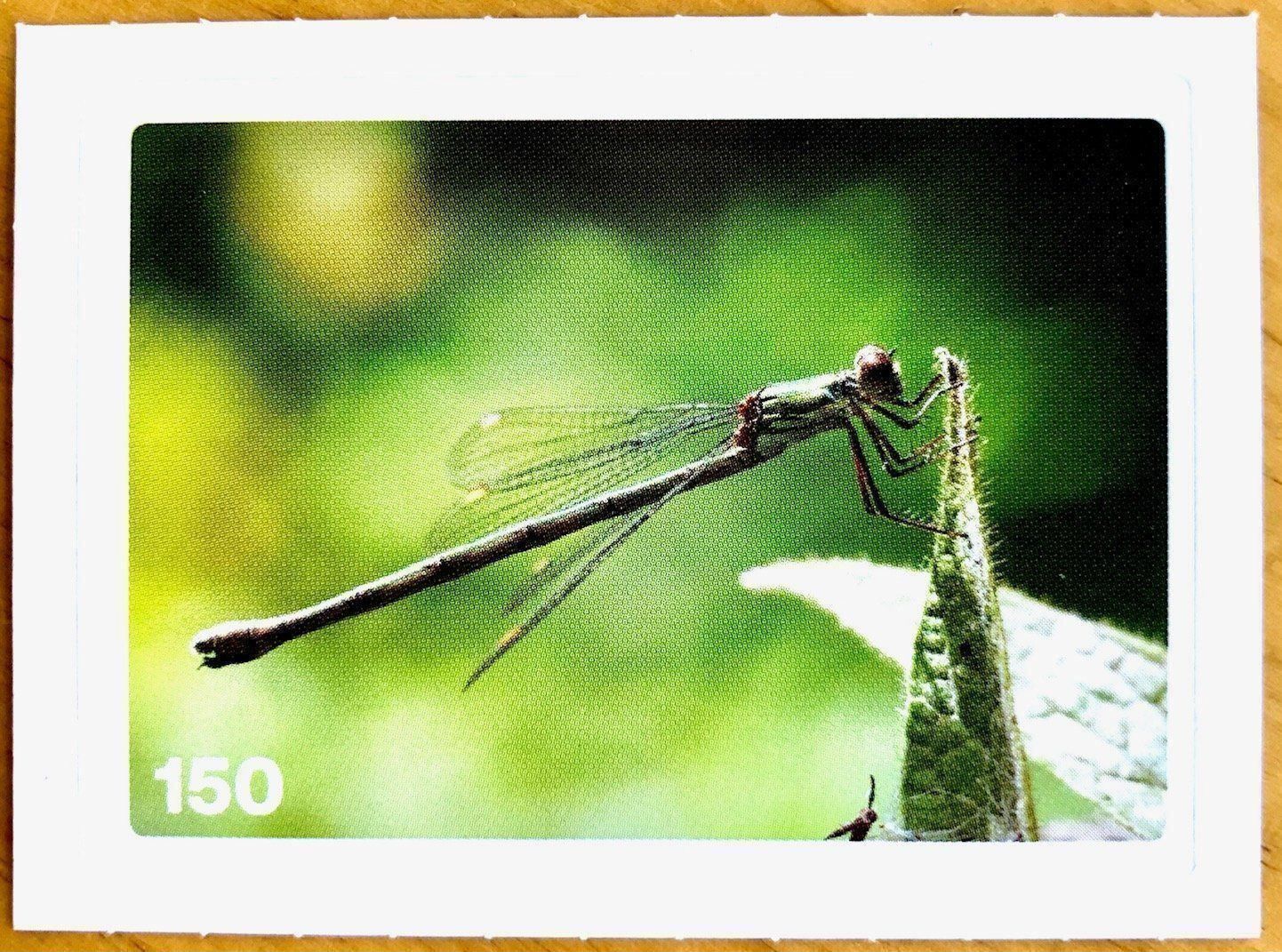 Migros Carte collezionabili: Migros Nature Detectives - Bild Nr. 150 – Nuovo (secondo la descrizione) da Oberrieden venduto da Zimmerberg10