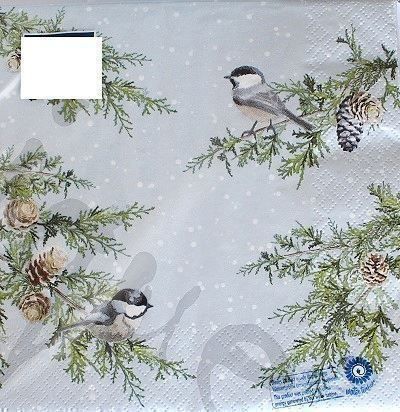 Tovaglioli: Serviette birds on branches (1223) 2Stk. – Nuovo (secondo la descrizione) da Schlatt TG venduto da kreativ-atelier