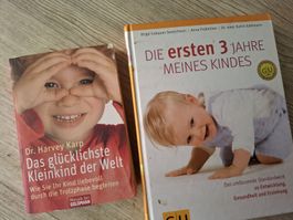 Ratgeber 2 Buecher Entwicklung Kleinkind GU Karp Zustand