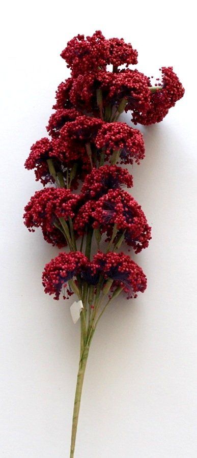 Kits de loisir créatif: Blütendolden rot – Neuf (Voir description) à Schlatt TG par kreativ-atelier