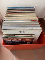 Schallplatten-Sammlung zu verkaufen - über 110  Stück!🎶🎶