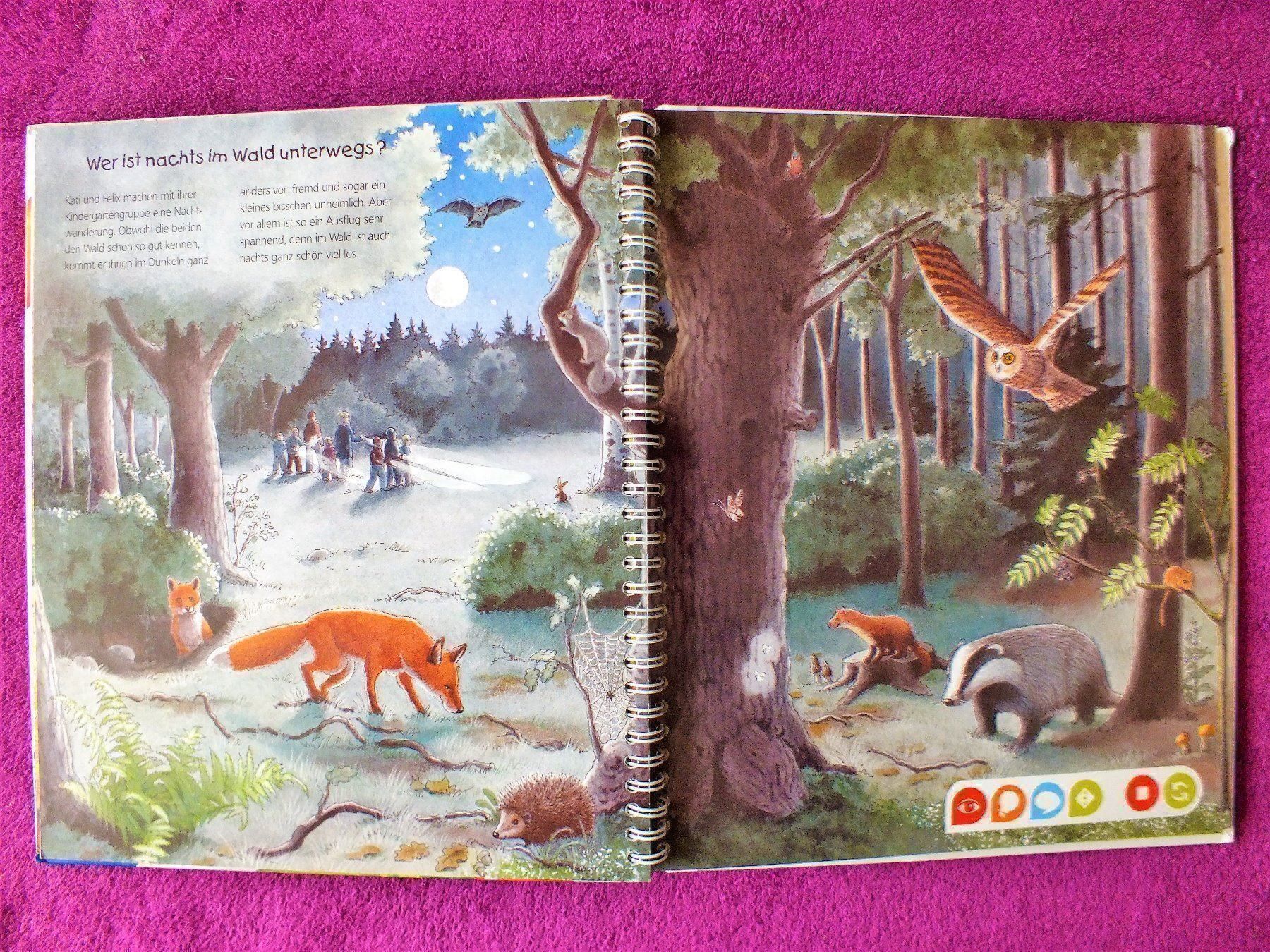 Libri: tiptoi Buch - Komm mit in den Wald – Usato da Müllheim Dorf venduto da Seeeule01 5