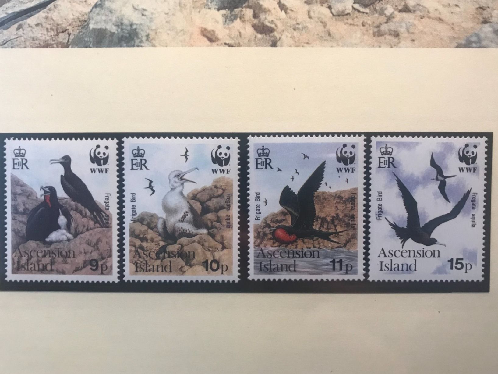 Tutti i francobolli: WWF Ascension 1990 Adlerfregattvogel Satz postfrisch – Nuovo (secondo la descrizione) da Liestal venduto da schnueps