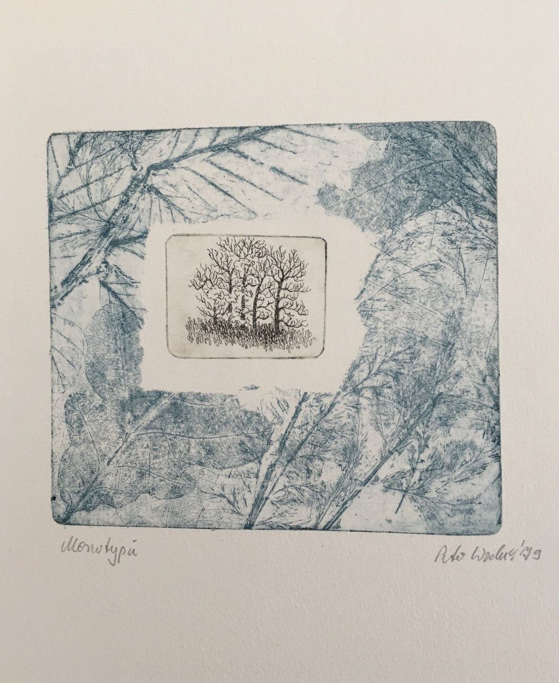 Grafica & Litografie: Peter Wodak     "Baum"   MONOTYPIE – Usato da Nennigkofen venduto da juhit 2