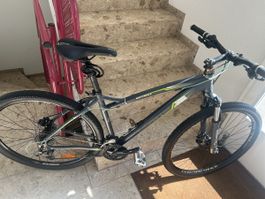Mountainbike Scottedale 29zoll 