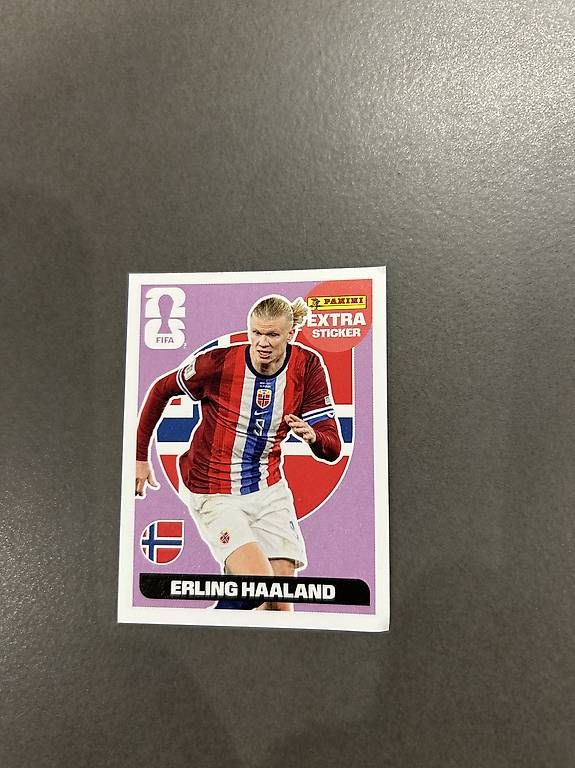 Panini Cartes à collectionner: Haaland – D'occasion à Zürich par Yvo619