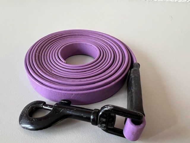 Guinzagli & Collari: Hundeleine aus Biothane – Usato da Winterthur venduto da la_panna 1