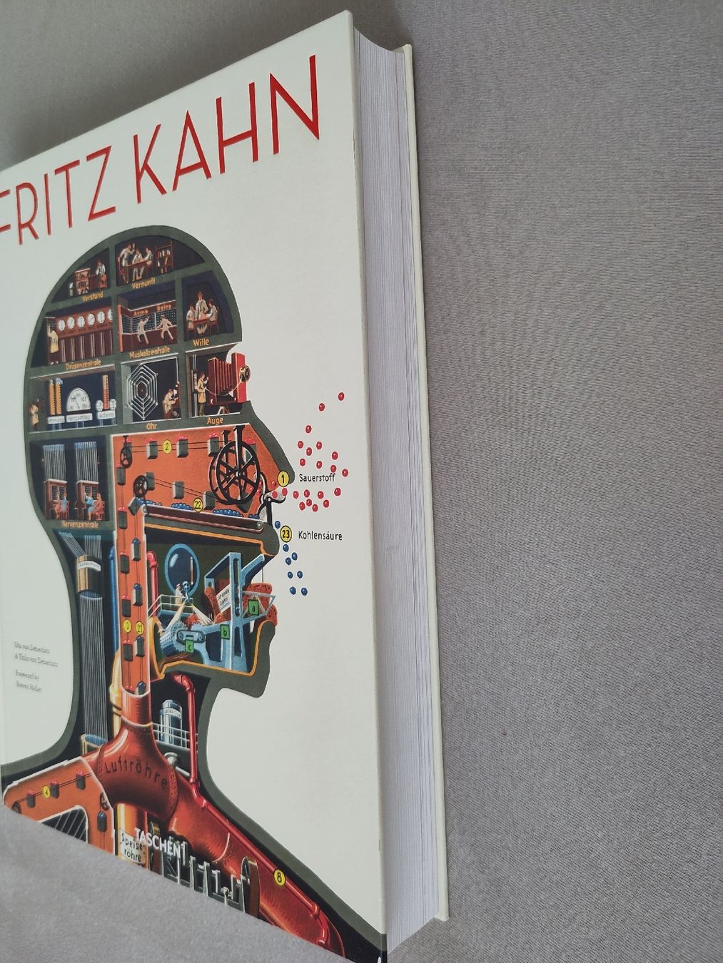 Libri: Fritz Kahn – Nuovo (secondo la descrizione) da Uster venduto da Gaston011 2