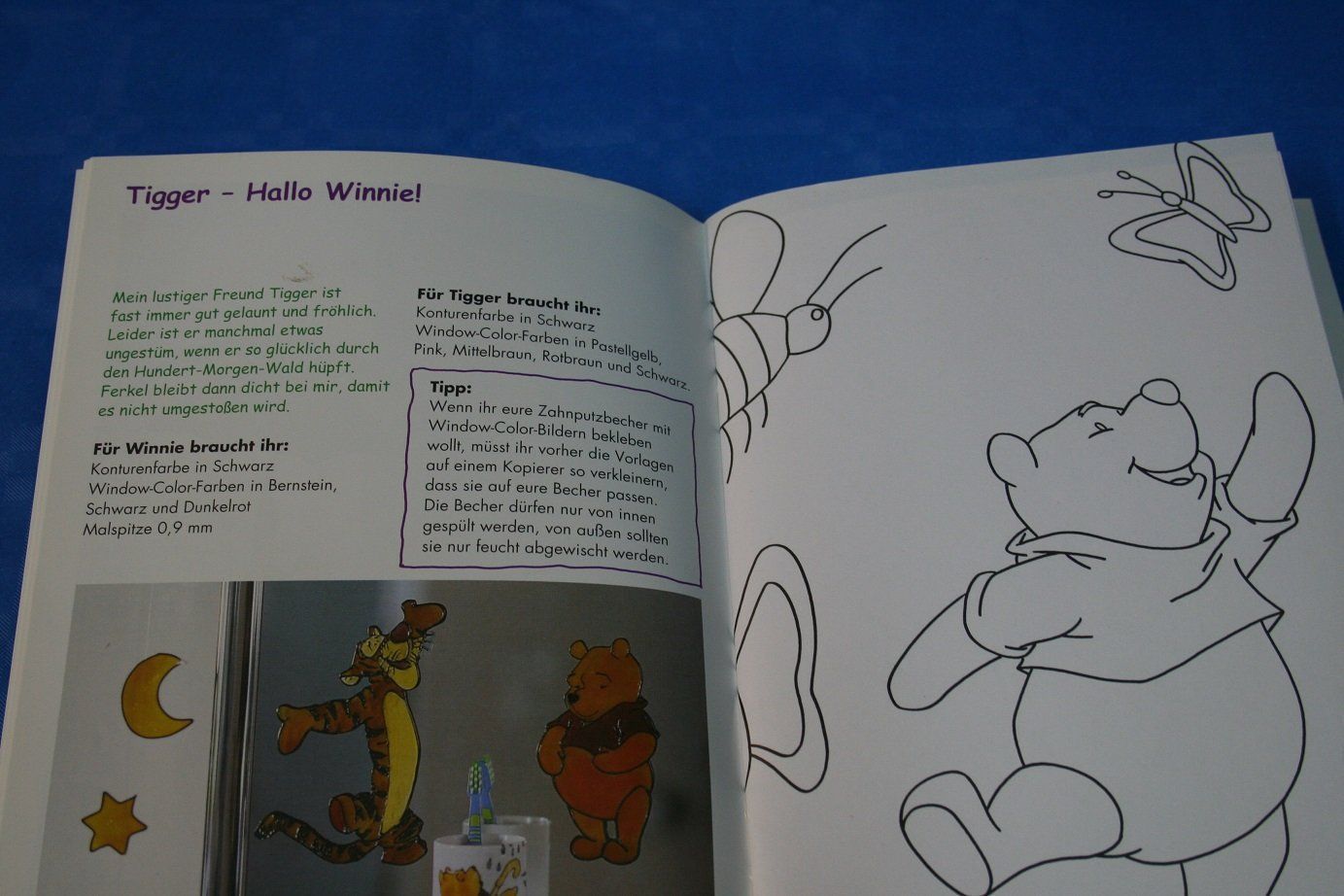 Bücher: Window Color Winnie Puuh – Neu (gemäss Beschreibung) aus Wettingen von zibi137 1