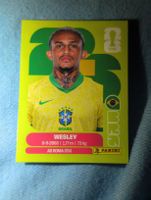 Wesley BRA 8
