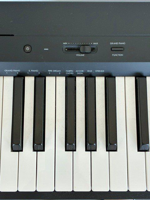 Yamaha Instruments de musique: Digital Piano P-145 – D'occasion à Neftenbach par Sundin08 1