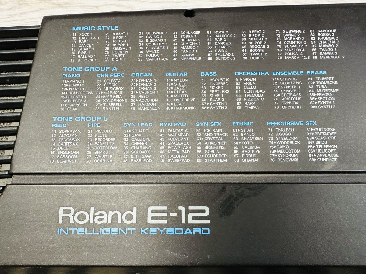Roland Strumenti musicali: Keyboard Roland E-12 – Usato da St. Antoni venduto da Pepita82 1