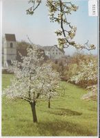 Münchenstein - Die grüne Gemeinde