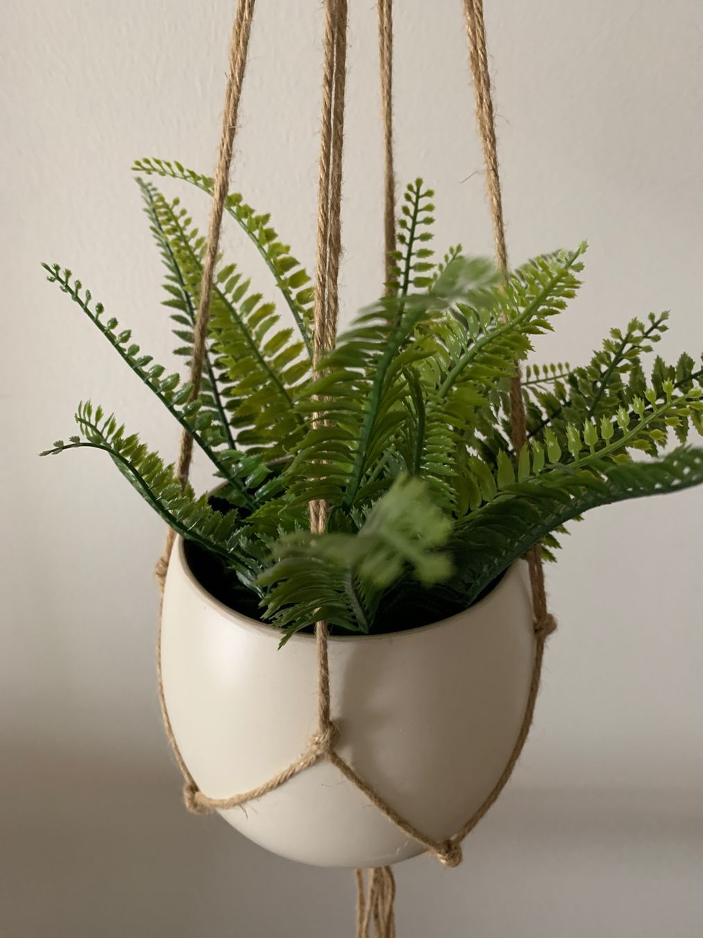 Piante & sementi: Boho Pflanzenhänger Makrame Blumentopf Pflanze – Nuovo (secondo la descrizione) da Adliswil venduto da wenk09 1