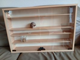 Hängeschrank/Vitrine 70x48,5x4 für 22.--Fr