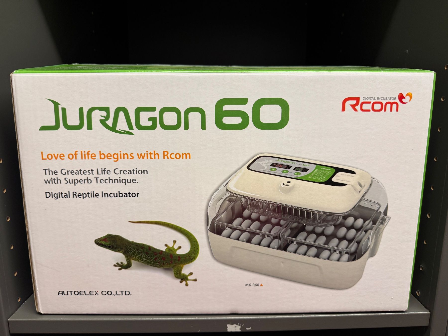 Altro in Accessori per animali: Juragon Reptile Incubator – Nuovo (secondo la descrizione) da Meierskappel venduto da aemkeii