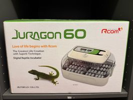 Juragon Reptile Incubator