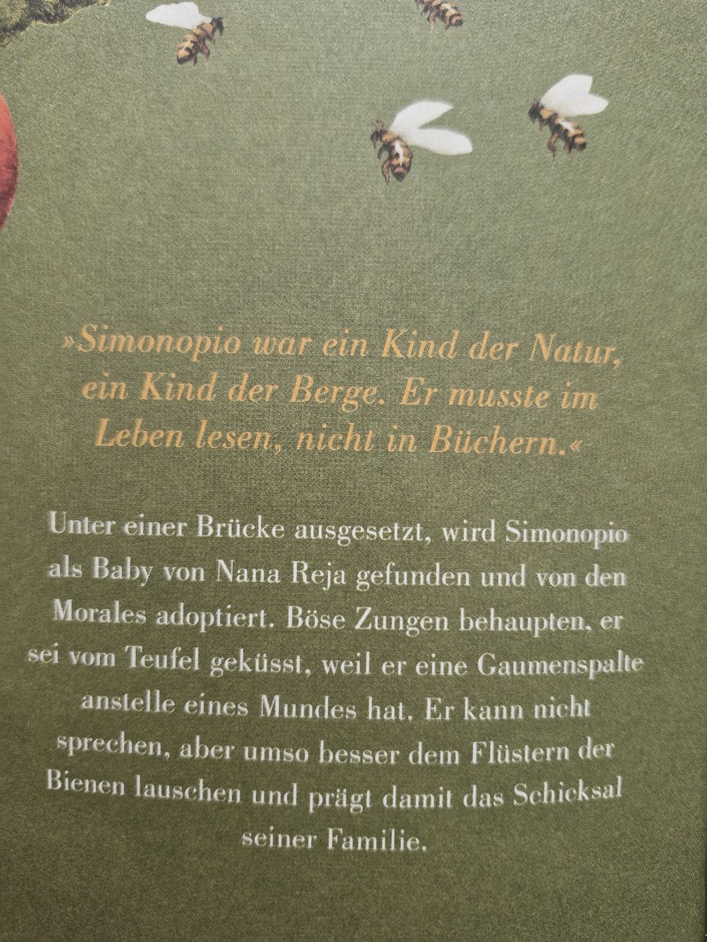 Livres: Buch Das Flüstern der Bienen Roman Sofía Segovia – D'occasion à Frauenfeld par Kasico 3