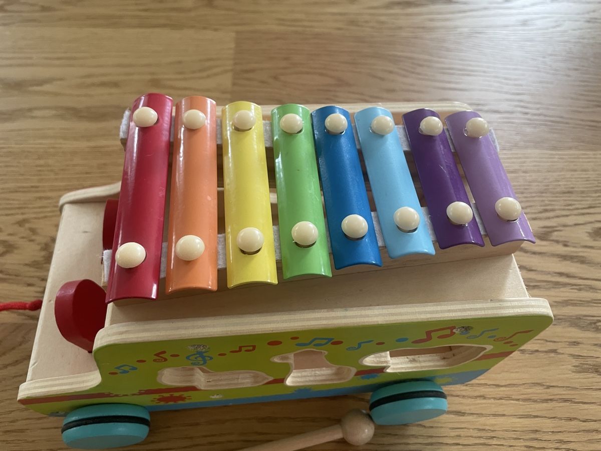 Strumenti musicali: Musikinstrumente Kleinkinder – Usato da Uitikon Waldegg venduto da Kappeli_17 2