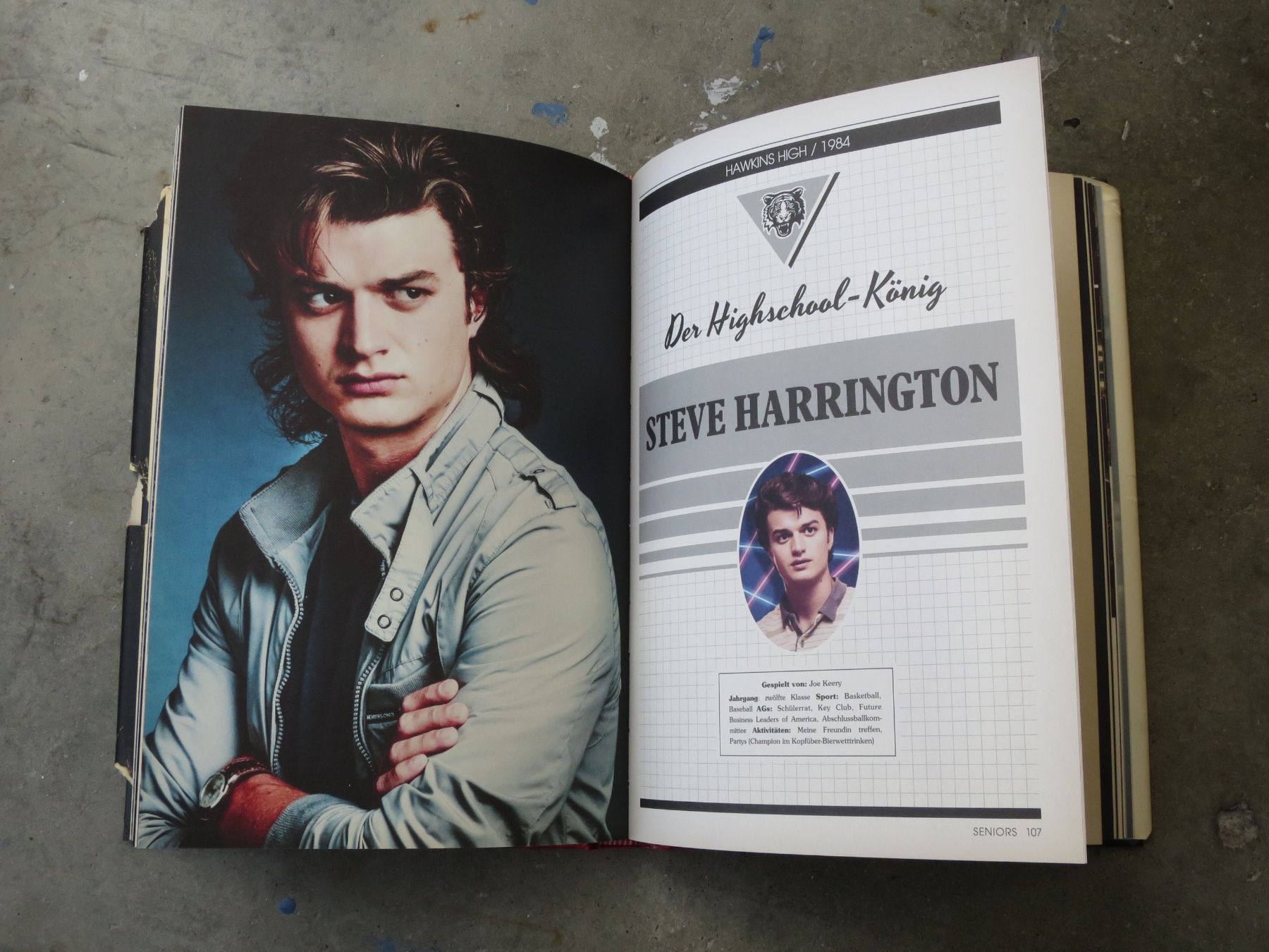 Libri: Stranger Things, Das offizielle Begleitbuch – Usato da Basel venduto da thi_7n89 4
